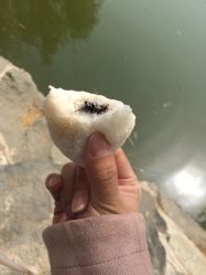 -南来顺饭庄·宴会厅(南菜园店)