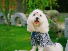 -渭南桃花源民俗文化园