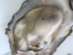 -绿岛港轩海鲜烤肉涮锅自助餐厅