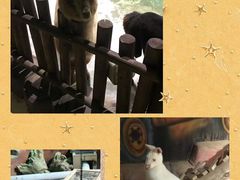 -庐州太太(鼓楼店)