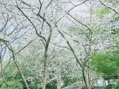 -中国茶叶博物馆(双峰馆区)