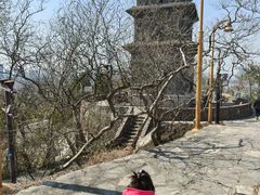 -九华山公园