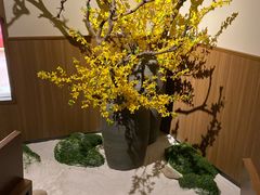 -纯彩日本料理