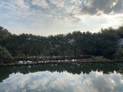 -九龙潭景区