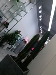 -YDO SALON