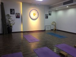 -酉嘉瑜伽YO+YOGA