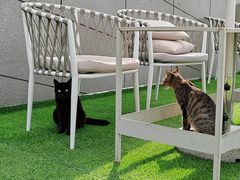 -UNI UNI(环亚凯瑟琳店)