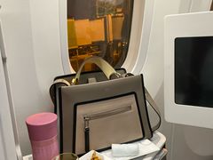 -海南海航航空信息系统公司