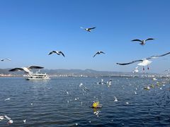 -海埂大坝