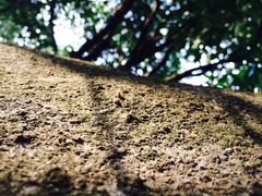 -火炉山森林公园