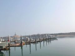 -渡海小渔村.老辈日照菜
