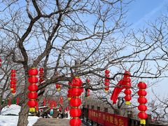 -狼牙山风景区