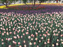 -长春公园(普阳街道)