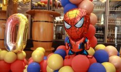 -派对猴生日派对策划