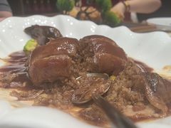 -丁老爷子苏香圆