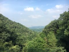 -韬光茶庵