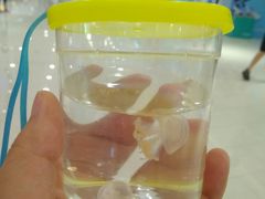 -沙沙哗啦海洋馆(华宇百花谷店)