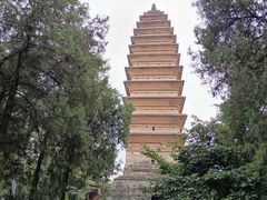 -洛阳白马寺