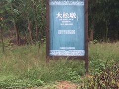 -梁鸿国家湿地公园