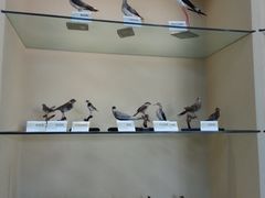 -亿利库布其七星湖沙漠生态旅游区