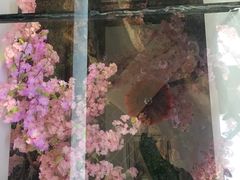 -缘福乡村铁锅炖民宿(八达岭店)