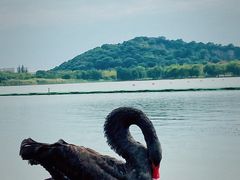 -西山漾湿地公园