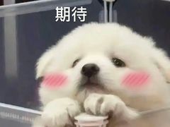 -金陵矩阵(聚宝山公园店)