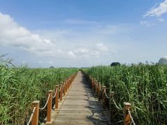 -黑龙江扎龙生态旅游区