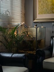 -雕哥的纹身店A3 TATTOO&纹身培训