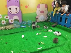 -万达广场(松江店)