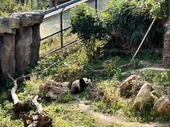 -宁波野生动物园