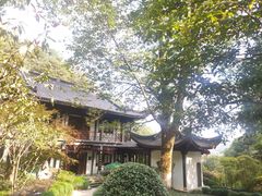 -十八棵（老龙井）御茶园(老龙井店)