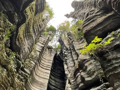 -梭布垭石林景区