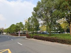 -杭州湾海上花田景区