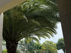 -云南师范大学(一二一西南联大校区)