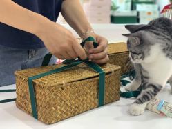 -卡卡喜糖伴手礼·商务礼宝宝礼·婚礼用品