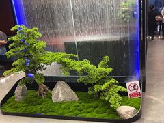 -湖畔鲁菜·二十年老字号餐厅(大明湖店)