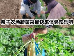 -前小桔亲子创意农场·草莓采摘·露营烧烤