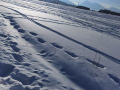 -丝绸之路山地度假区滑雪场