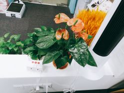 -斐尔国际皮肤管理中心