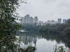 -重庆彩云湖湿地公园