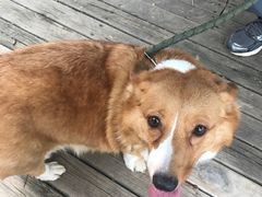 -意大利农场度假村