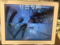 点击看大图 -张昊造型