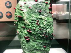 -湖南省地质博物馆