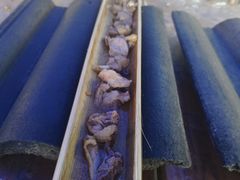 -竹泉农庄·竹筒饭(从化店)