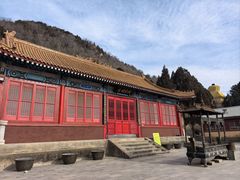 -遵化市禅林寺古银杏风景园