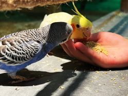 -酷嗒动物文化乐园(cutezoo西溪乐天城店)