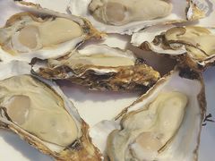 比我手掌还大的生蚝-千岛蚝高压锅生蚝·人参火锅(白云万达店)