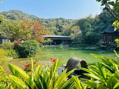 -云溪植物园