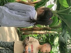 -晶宝温泉农庄